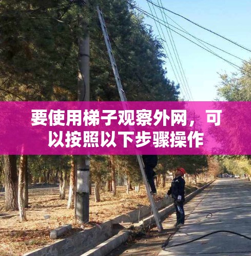 要使用梯子观察外网,可以按照以下步骤操作