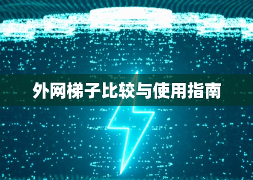 外网梯子比较与使用指南