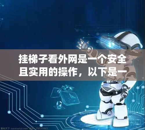 挂梯子看外网是一个安全且实用的操作,以下是一步-by-step的指南