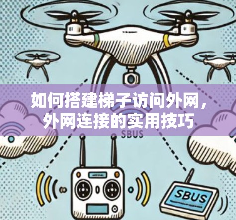 如何搭建梯子访问外网，外网连接的实用技巧