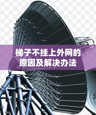梯子不挂上外网的原因及解决办法