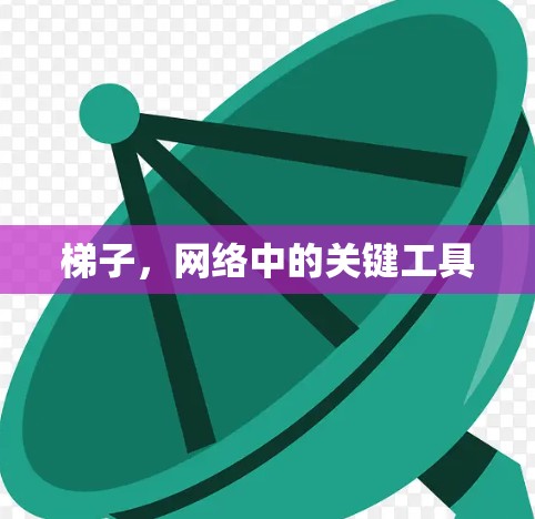 梯子，网络中的关键工具