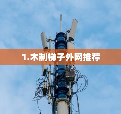 1.木制梯子外网推荐