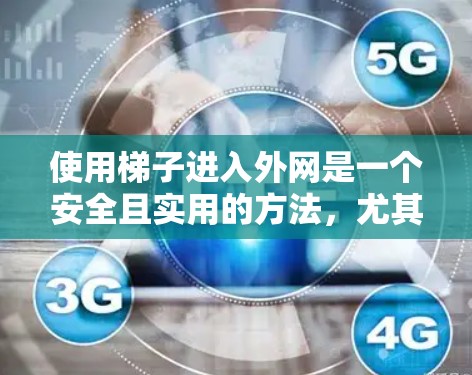 使用梯子进入外网是一个安全且实用的方法,尤其适合在无法直接连接到内网设备的情况下。以下是一个清晰的步骤指南
