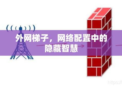 外网梯子,网络配置中的隐藏智慧