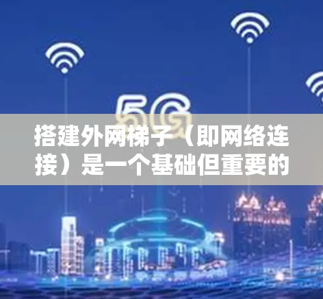 搭建外网梯子(即网络连接)是一个基础但重要的技能,掌握这一技能可以为后续的网络使用打下基础。以下是一个详细的学习步骤指南