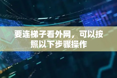 要连梯子看外网,可以按照以下步骤操作
