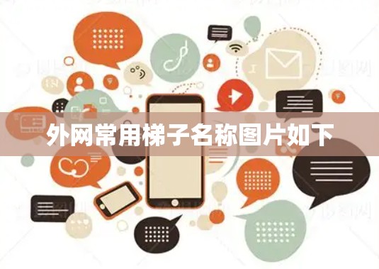 外网常用梯子名称图片如下