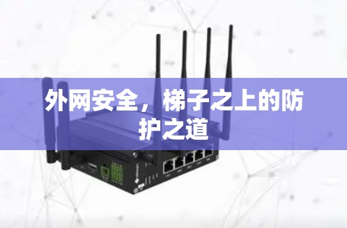 外网安全,梯子之上的防护之道