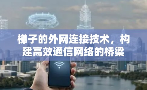 梯子的外网连接技术,构建高效通信网络的桥梁