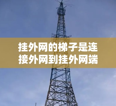 挂外网的梯子是连接外网到挂外网端口的重要工具,以下是使用步骤的详细指南