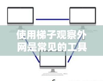 使用梯子观察外网是常见的工具,可以帮助你更直观地查看纸张上的信息。以下是一步步的指南,帮助你正确使用梯子观察外网