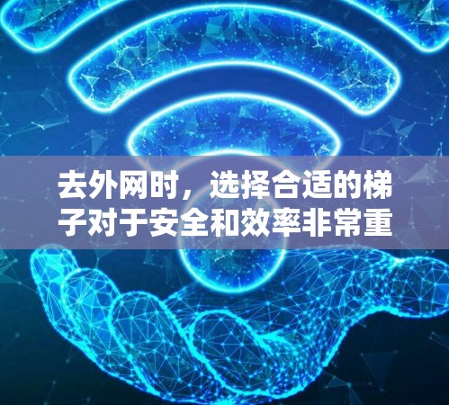 去外网时，选择合适的梯子对于安全和效率非常重要。以下是一些推荐的外网梯子类型，供您参考