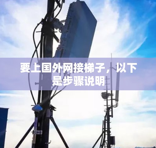 要上国外网接梯子,以下是步骤说明