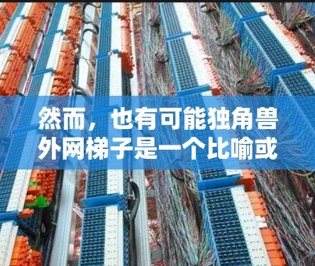 然而,也有可能独角兽外网梯子是一个比喻或品牌名称,而非技术术语,具体含义需要结合上下文进一步了解。如果您能提供更多的背景信息或详细内容,我可以更准确地帮助您解答相关问题
