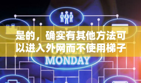 是的,确实有其他方法可以进入外网而不使用梯子。以下是一些常见的方法