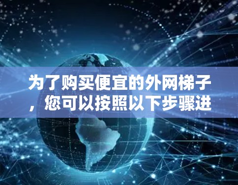 为了购买便宜的外网梯子,您可以按照以下步骤进行