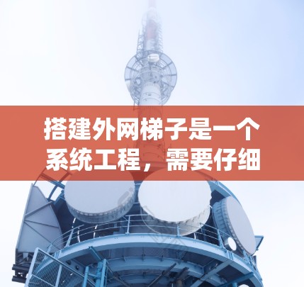 搭建外网梯子是一个系统工程,需要仔细规划和正确操作。以下是一个详细的步骤指南,帮助您顺利完成外网梯子的搭建