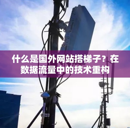 什么是国外网站搭梯子?在数据流量中的技术重构