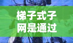 梯子式子网是通过分层排列来实现访问控制的网络架构,适用于需要分层访问控制的情况。以下是其访问原理的详细解释