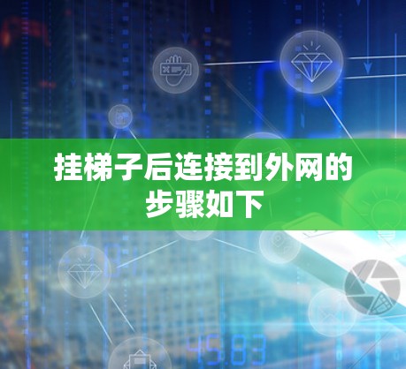 挂梯子后连接到外网的步骤如下