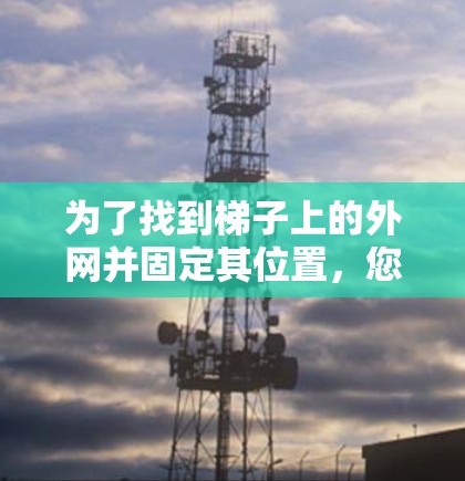 为了找到梯子上的外网并固定其位置，您可以按照以下步骤操作