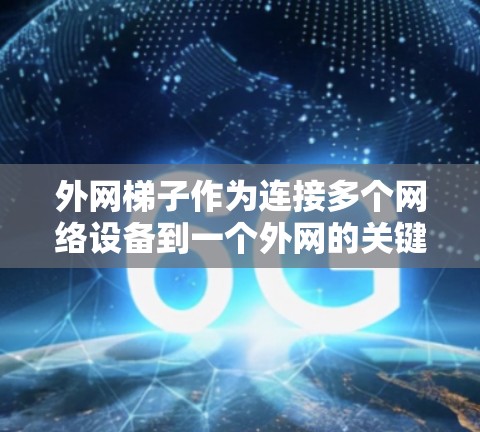 外网梯子作为连接多个网络设备到一个外网的关键工具,是现代互联网管理中不可或缺的一部分。以下是一些经典的外网梯子推荐,适合普通用户,价格实惠,功能全面,帮助您高效管理多个网管