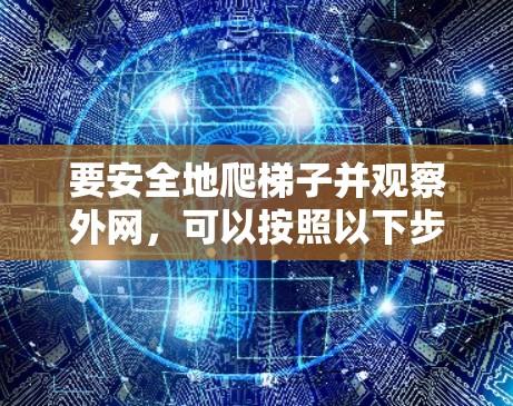 要安全地爬梯子并观察外网,可以按照以下步骤进行