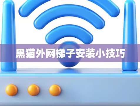 黑猫外网梯子安装小技巧