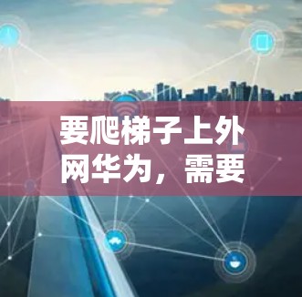 要爬梯子上外网华为，需要结合具体的需求和背景来确定解决方案。以下是一些建议和步骤，帮助您上楼并进入外网