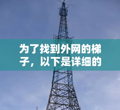 为了找到外网的梯子，以下是详细的步骤和建议，帮助你选择适合你的梯子