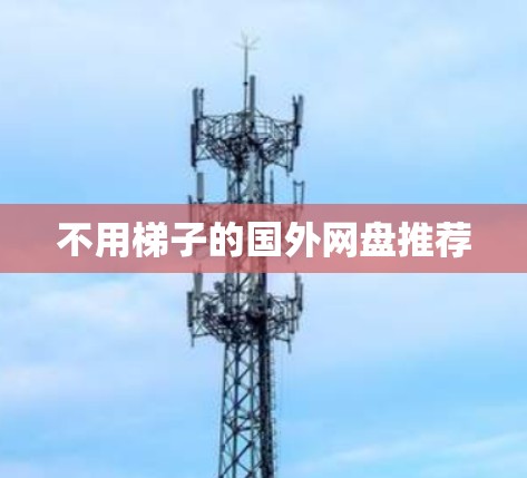 不用梯子的国外网盘推荐