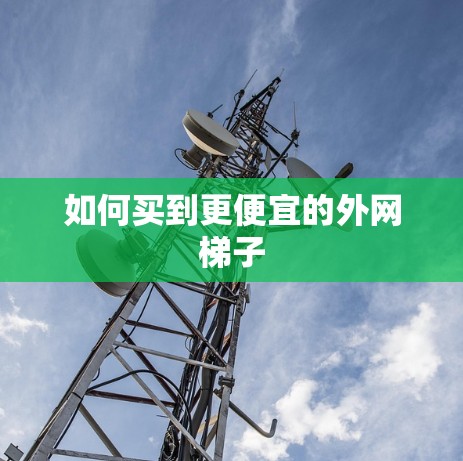 如何买到更便宜的外网梯子
