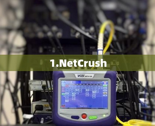 1.NetCrush