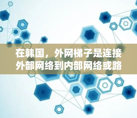 在韩国，外网梯子是连接外部网络到内部网络或路由器的重要设备，主要由三星、LG、SK和LG Display等品牌提供。以下是这些品牌的外网梯子型号、特点及适用场景的详细信息