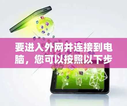 要进入外网并连接到电脑，您可以按照以下步骤操作