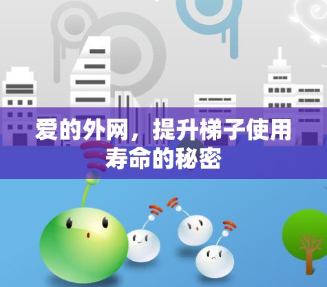 爱的外网，提升梯子使用寿命的秘密