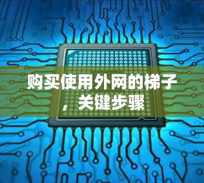 购买使用外网的梯子,关键步骤