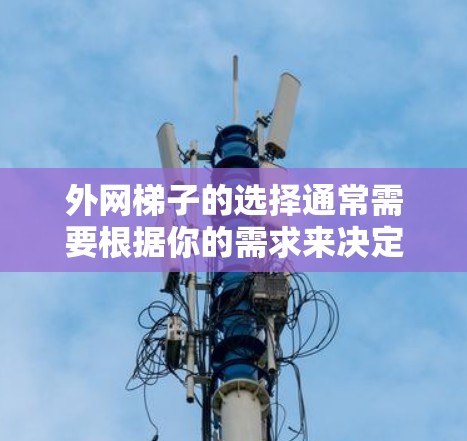 外网梯子的选择通常需要根据你的需求来决定。以下是一些常见的品牌和型号推荐，可以帮助你找到合适的选择