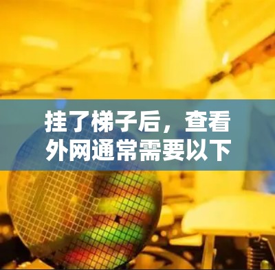挂了梯子后，查看外网通常需要以下步骤