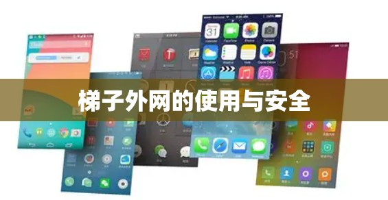 梯子外网的使用与安全