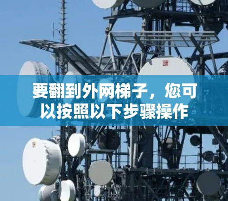 要翻到外网梯子，您可以按照以下步骤操作