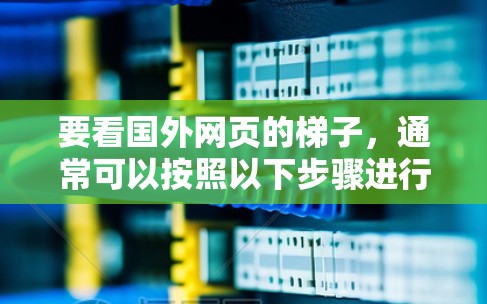 要看国外网页的梯子，通常可以按照以下步骤进行