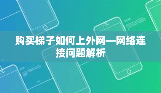 购买梯子如何上外网—网络连接问题解析
