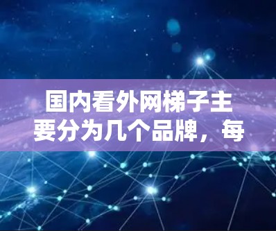 国内看外网梯子主要分为几个品牌,每个品牌都有其独特的型号和特点,以下是它们的主要型号和特点 国内看外网梯子主要分为几个品牌,每个品牌都有其独特的型号和特点,以下是它们的主要型号和特点
