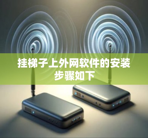 挂梯子上外网软件的安装步骤如下
