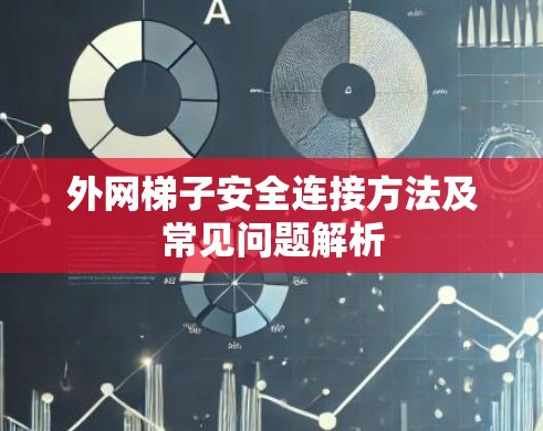 外网梯子安全连接方法及常见问题解析