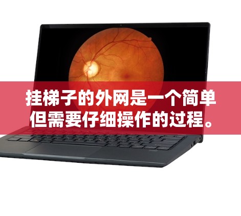 挂梯子的外网是一个简单但需要仔细操作的过程。以下是一步步的指南