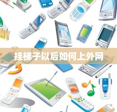 挂梯子以后如何上外网