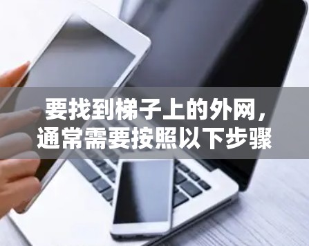 要找到梯子上的外网，通常需要按照以下步骤操作